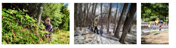 Trimble® R12i