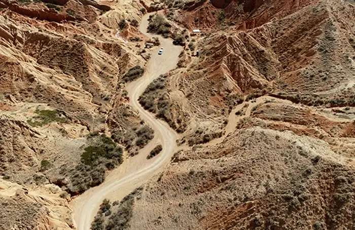 Environmental Hazards