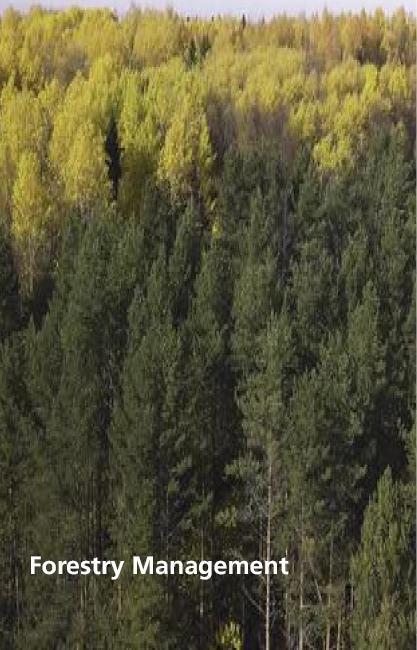 DJI view Engineering Forestry Management